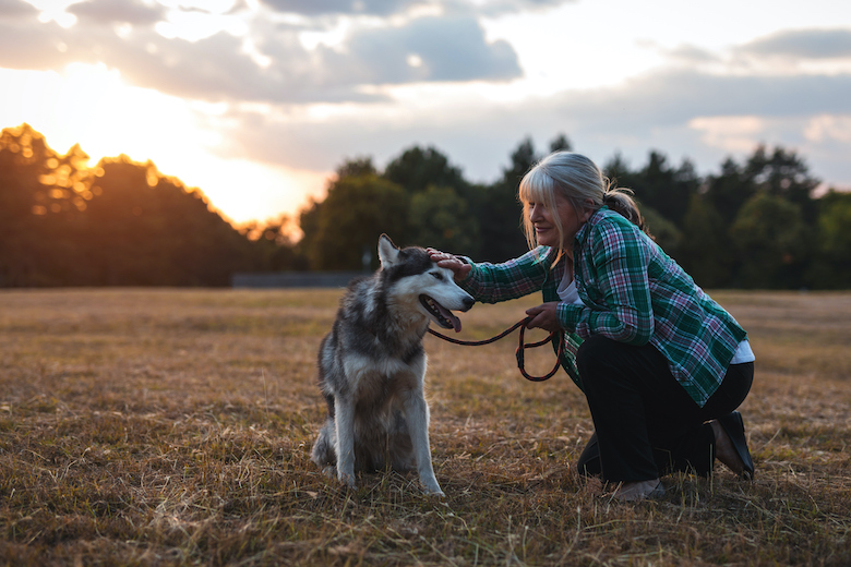 Roundworms: What Are They and Why They Are a Winter Risk For Your Dog